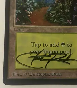 Magic The Gathering MTG FOREST Beta Art Card Signed by Christopher Rush! - Image 4