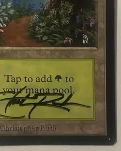 Magic The Gathering MTG FOREST Beta Art Card Signed by Christopher Rush! - Image 5