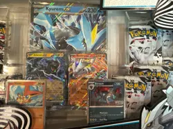 Pokemon TCG Unova Heavy Hitters Premium Collection Black Bolt & White Flare NEW - Image 5