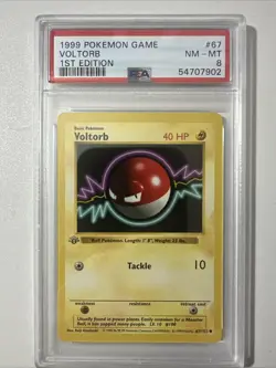 Pokemon 1st Edition PSA 8 Voltorb 067/102 Base Set (Shadowless) - Image 1