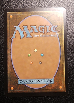 MTG Razorgrass Screen Fifth Dawn 145/165 Regular Common - Image 3