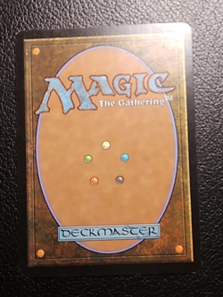 MTG Razorgrass Screen Fifth Dawn 145/165 Regular Common - Image 4