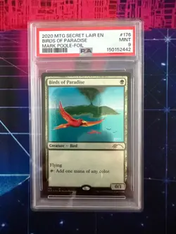 2020 Birds of Paradise - Mark Poole Secret Lair Foil #176 PSA 9 Mint MTG - Image 1