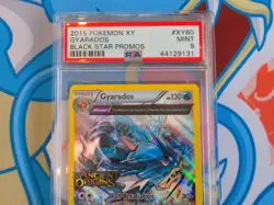 Gyarados - 2015 Pokemon XY Ancient Origins Prerelease Promo #XY60 - PSA 9 - Image 2