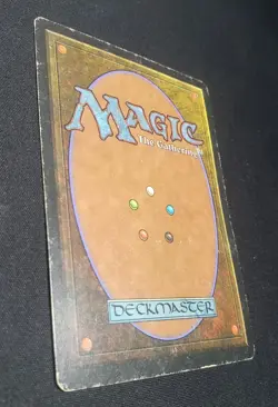 Savannah - MP - Revised - MTG - Image 4