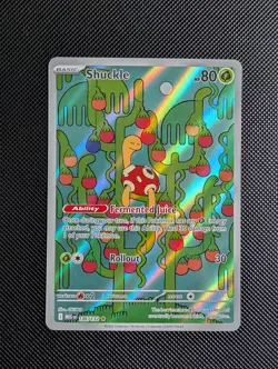 Shuckle 136/132 Mega Evolution NM Illustration Rare Pokemon TCG - Image 1