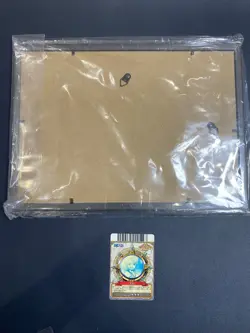 Rare Combo: One Piece Nami Rare Holo Card (C250-W) & Framed Art Print - Osaka Ex - Image 4
