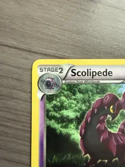 Pokemon TCG Scolipede 54/114 Non Holo Rare Black And White NM - Image 2