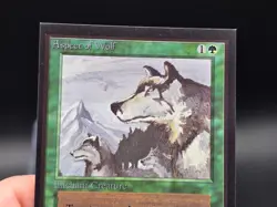 Aspect of Wolf - Collector's Edition CE Beta Reprint NM/Mint *CCGHouse* - Image 3