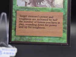 Aspect of Wolf - Collector's Edition CE Beta Reprint NM/Mint *CCGHouse* - Image 4