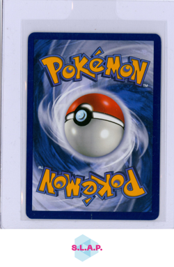 SALAMENCE EX POKEMON 187 2025 JOURNEY TOGETHER HOLO ENGLISCH - Image 2