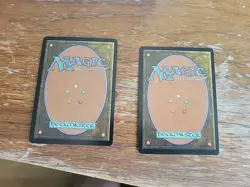 Magic the Gathering Card MTG Planar Chaos 2x ESSENCE WARDEN Japanese - Image 2