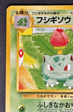 Ivysaur No. 002 Southern Islands Promo 1999 Japanese Pokemon Card - Image 3