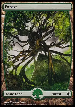Forest (249) - Medium Play MTG Zendikar - Image 1