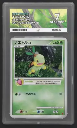 Pokemon Jp 2007 Promo PPP 001 Turtwig Exp Points Reward Ace 7 Card! - Image 1