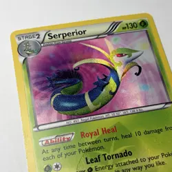 Pokemon TCG Black White Dragons Exalted Shiny Serperior 125/124 Textured Holo LP - Image 4