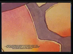 1999 Topps Pokemon The Movie Squirtle Wartortle Blastoise #S9 Sticker Puzzle - Image 2