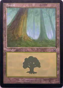 Forest (347) 347 Land Mercadian Masques Magic: The Gathering Near Mint - Image 1