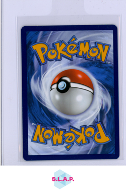 CHARMANDER POKEMON 44 2023 SV BLACK STAR PROMO HOLO ENGLISCH - Image 2