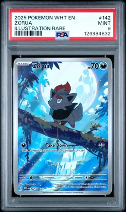 ZORUA #142 ILLUSTRATION RARE 2025 POKEMON WHT EN WHITE FLARE PSA 9 MINT - Image 1