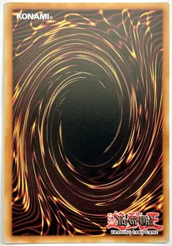 MP20-EN164 Hop Ear Squadron - Common 1st Edition Near Mint YuGiOh Card - Image 2