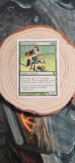 Elvish Champion 9th Edition MTG Regular Card - Image 1