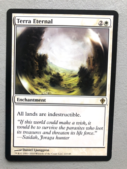 Mtg Carte Magic Worldwake Terra Eternal English NM/LP - Image 1