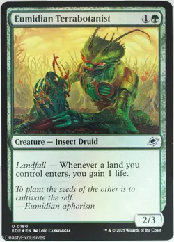 MTG: Edge of Eternities - Eumidian Terrabotanist - Foil - Image 1