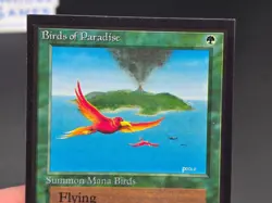 Birds of Paradise - Collector's Edition CE Beta Reprint NM/Mint *CCGHouse* - Image 3