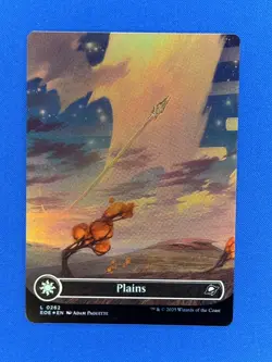 Plains (0262) Borderless FOIL MTG: Edge of Eternities - Image 1