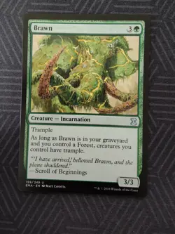 mtg brawn eternal masters - Image 1