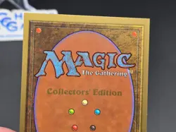 Living Lands - Collector's Edition CE Beta Reprint NM/Mint *CCGHouse* - Image 3