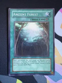 Ancient Forest - 1st Edition - Super Rare - ANPR-EN048 - Yu-Gi-Oh! - Image 1