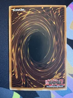 Ancient Forest - 1st Edition - Super Rare - ANPR-EN048 - Yu-Gi-Oh! - Image 2