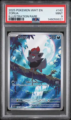 ZORUA #142 ILLUSTRATION RARE 2025 POKEMON WHT EN WHITE FLARE PSA 9 MINT - Image 1