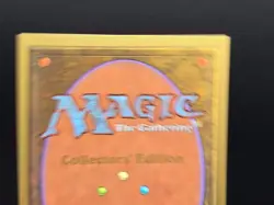 Northern Paladin - Collector's Edition CE Beta Reprint NM/Mint *CCGHouse* - Image 3