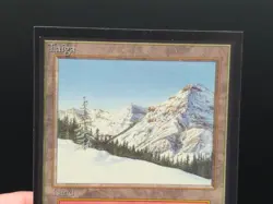 Taiga - Collector's Edition CE Dual Land Beta Reprint NM/Mint *CCGHouse* - Image 5