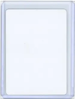 Druid's Call Odyssey Artist Proof MTG - Image 2