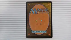 Magic: the Gathering - Lorwyn ~ Rare ~ Gaddock Teeg - Image 3