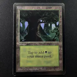 Magic the Gathering MTG Beta Forest v.3 (DARK) LP (Beta Bob) - Image 1