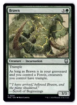Brawn NM* Modern Horizons 3 Commander ENGLISH 0224 mtg -UnltdCards - Image 1