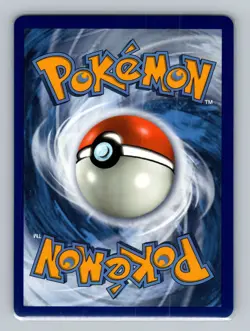 Torkoal V 024/202 Holo Rare Sword & Shield Pokemon Card TCG SWSH - Image 2