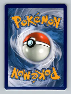 Scorbunny #030/202 Promo Pokemon TCG Blister Exclusives - Image 2