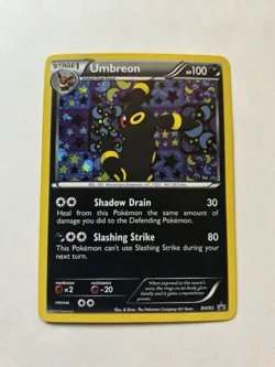Pokemon TCG Eeveelutions Black & White Eevee Promo Set BW87-94 bonus included - Image 2