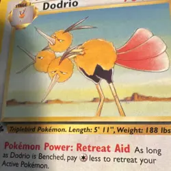 Pokemon TCG Doduo & Dodrio 1st Edition Base Set Jungle 1999 English Card Lot - Image 3