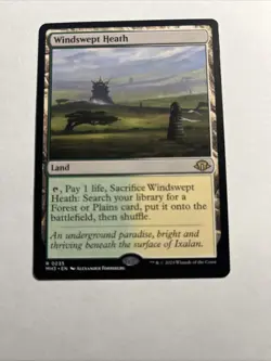 Windswept Heath - Modern Horizons 3 MTG Plus Bonus Rare!!! - Image 1