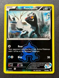 2015 Pokemon TCG XY Double Crisis -Team Aqua's Poochyena- Reverse Holo C 16/34 - Image 1