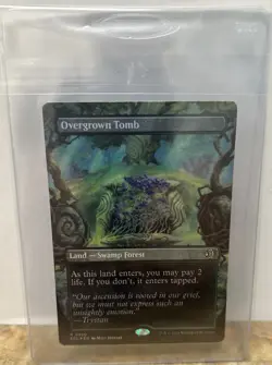 Overgrown Tomb (Borderless) Lorwyn Eclipsed Regular - Image 3