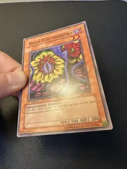 Yugioh Magical Plant Mandragola MFC-072 Common 1st Edition NA English Vintage - Image 3