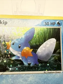 Mudkip 018 EX Deck Tin Nintendo Promo Holofoil Pokemon TCG - Small Ding - Image 3